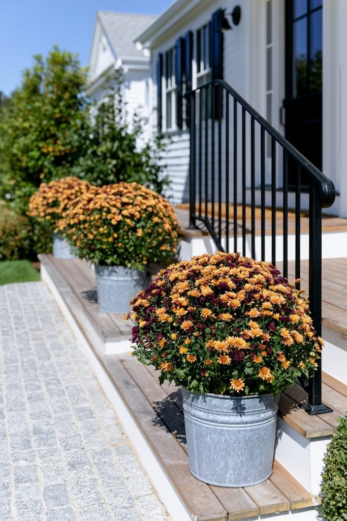 Galvanized metal tub overflowing with colorful chrysanthemums on a farmhouse fall porch