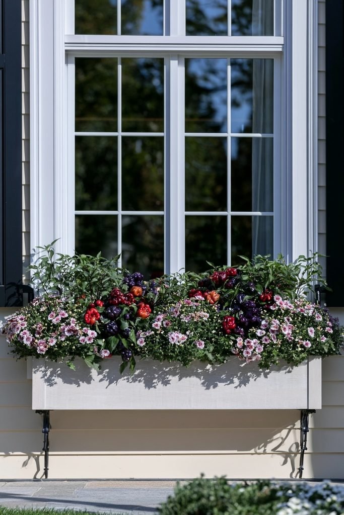 Ornamental peppers in red, orange, and purple tucked into a mum-filled window box