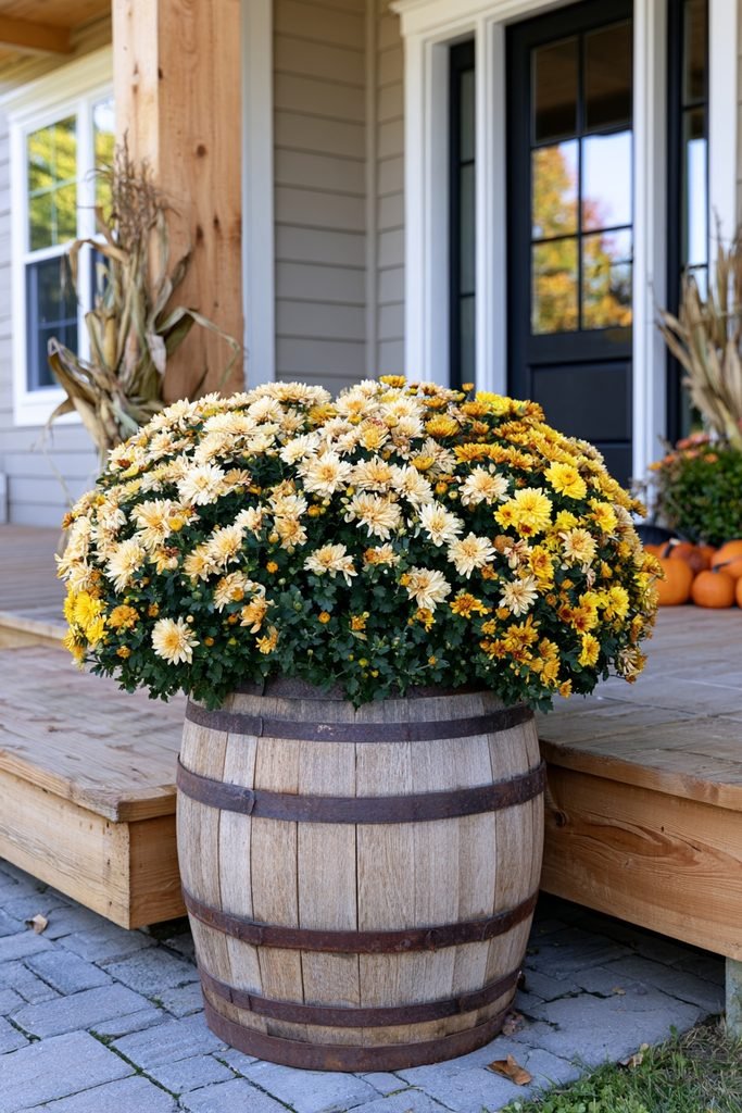 Wooden barrel planter filled with colorful fall mums beside a farmhouse front door